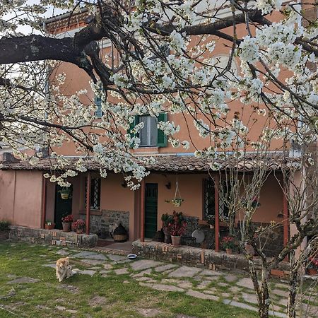 Dimora Marella Patrica - Frosinone Hotel ภายนอก รูปภาพ