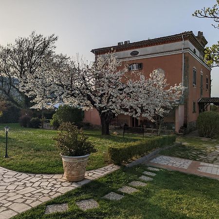 Dimora Marella Patrica - Frosinone Hotel ภายนอก รูปภาพ