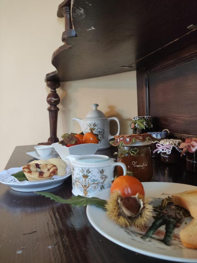 Dimora Marella Patrica - Frosinone Hotel ภายนอก รูปภาพ