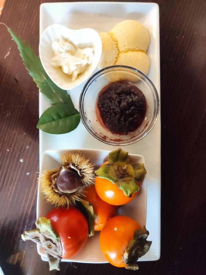 Dimora Marella Patrica - Frosinone Hotel ภายนอก รูปภาพ