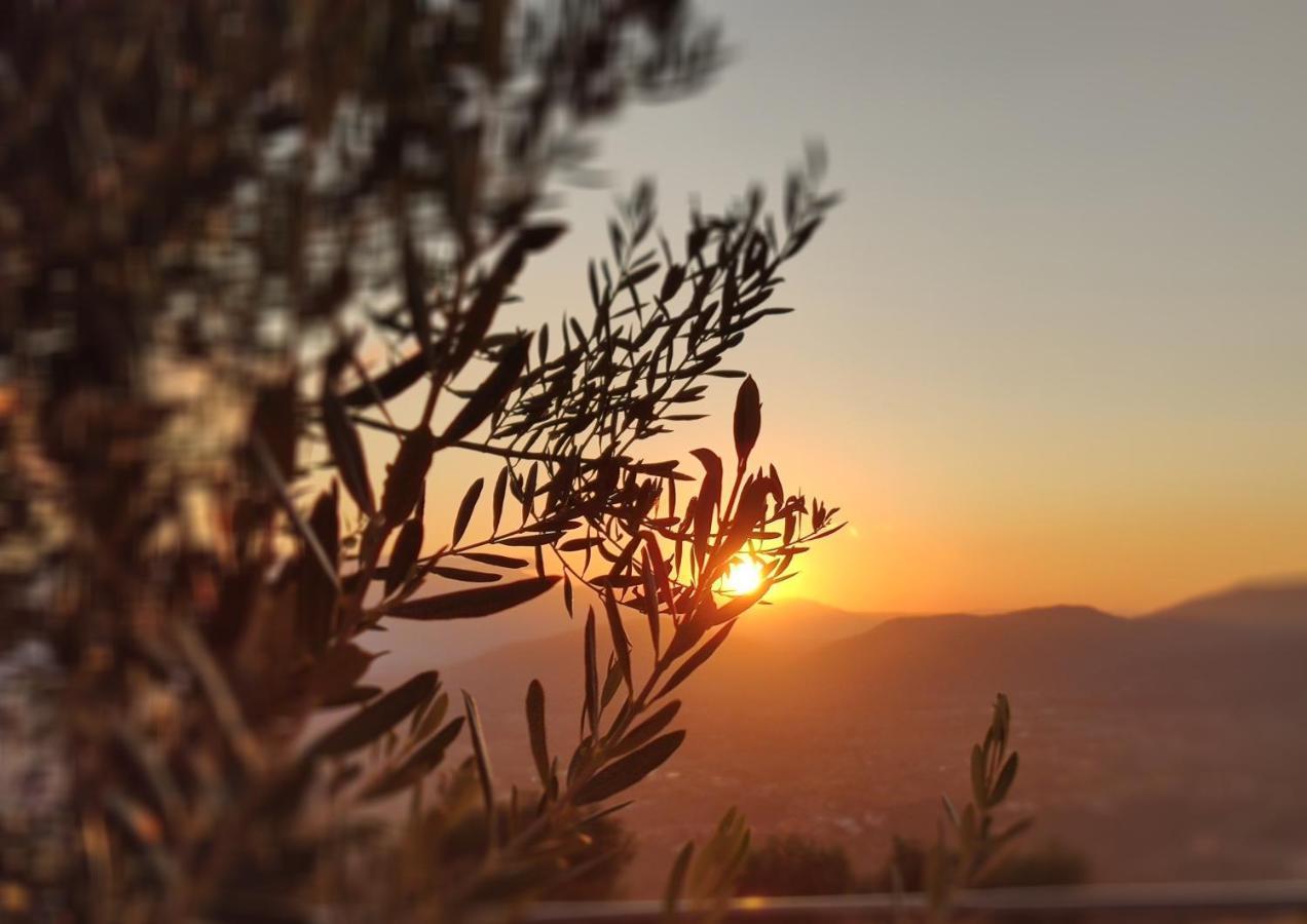 Dimora Marella Patrica - Frosinone Hotel ภายนอก รูปภาพ