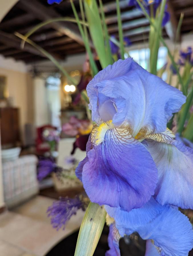 Dimora Marella Patrica - Frosinone Hotel ภายนอก รูปภาพ