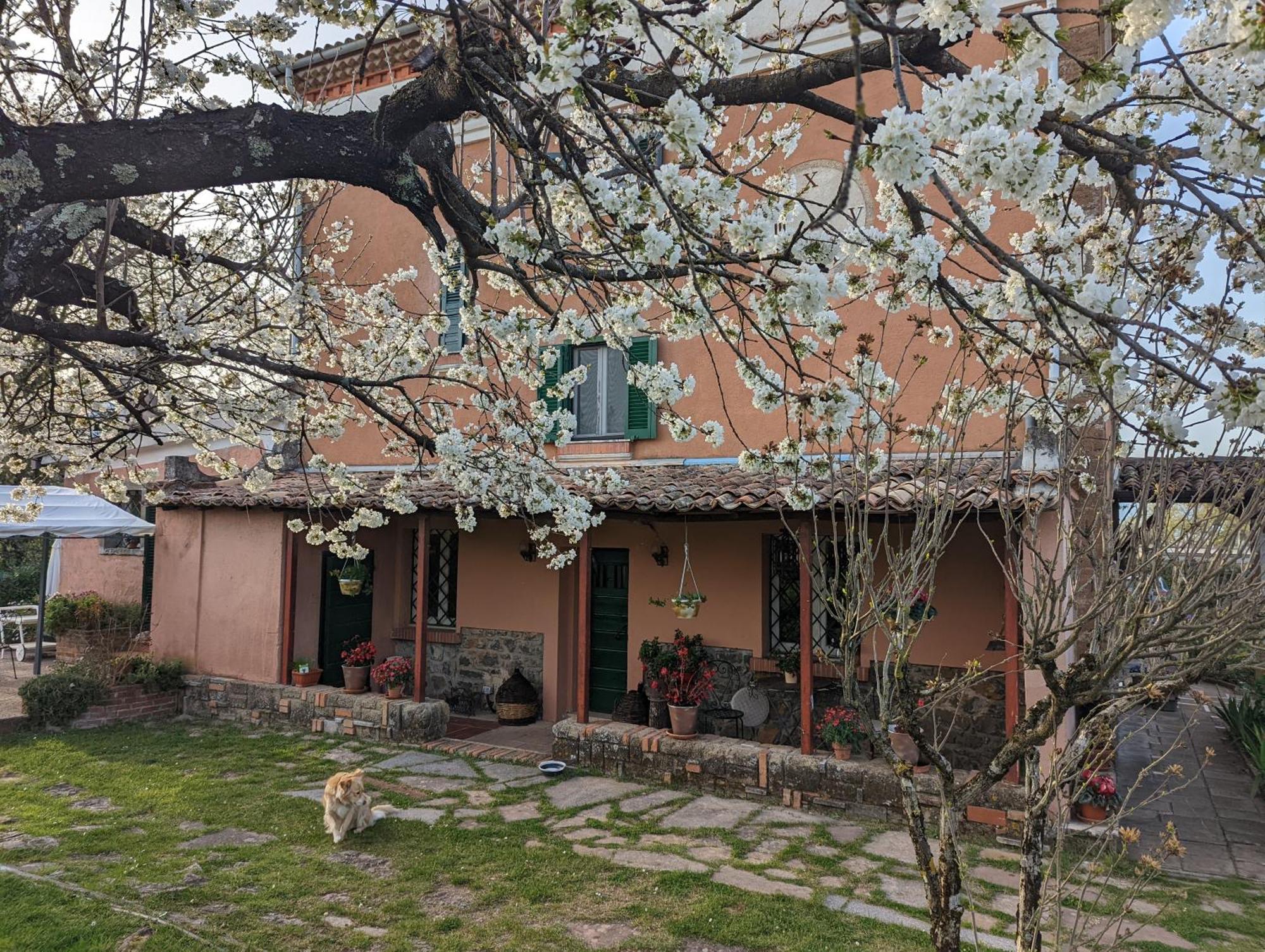 Dimora Marella Patrica - Frosinone Hotel ภายนอก รูปภาพ
