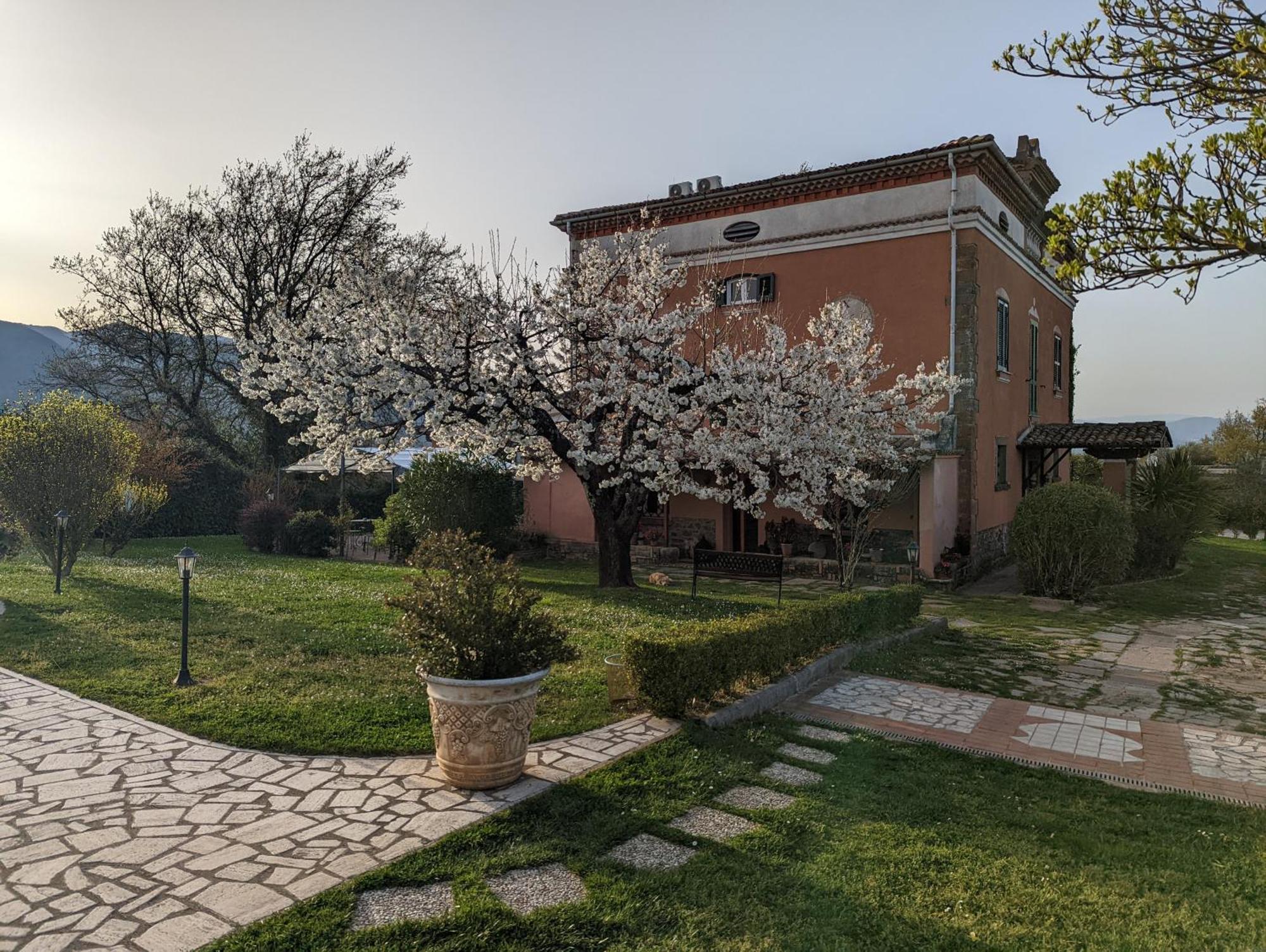 Dimora Marella Patrica - Frosinone Hotel ภายนอก รูปภาพ